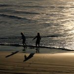 Steelquist encourages first-hand experience in ‘The Northwest Coastal Explorer’