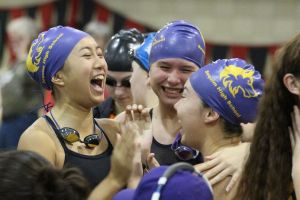 Girls swim: Seven girls slated for state swim meet