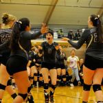 Volleyball: Wolves fall just short of medal stand at state 2A tournament