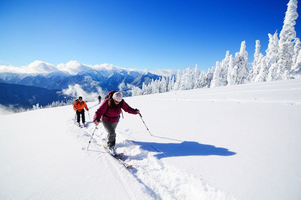 Celia Thompson of Port Angeles leads a group of cross-country skiers at Hurricane Ridge on Dec. 18. (Jesse Major/Peninsula Daily News)