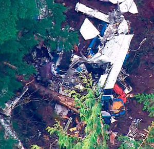 An aerial photo shows the wreckage of Bernhoft&rsquo;s Cessna 182 in a wooded area near Quilcene. (KOMO-News)