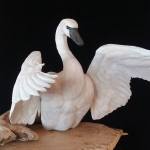 Sparkle and Shine together with silver color theme