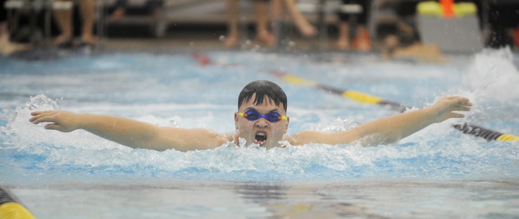 Boys swimming: Wolves set eight best marks in loss to Kingston