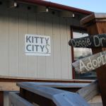 OPHS reflects on impact of new location