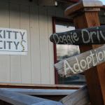 OPHS reflects on impact of new location