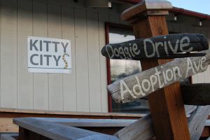 OPHS reflects on impact of new location