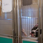 OPHS reflects on impact of new location