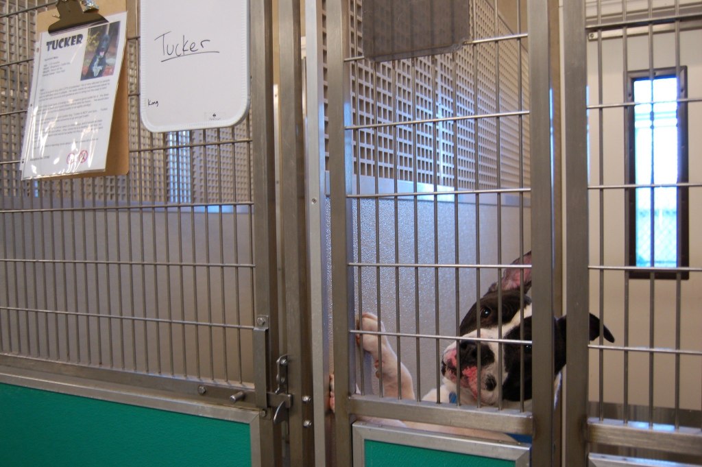 OPHS reflects on impact of new location