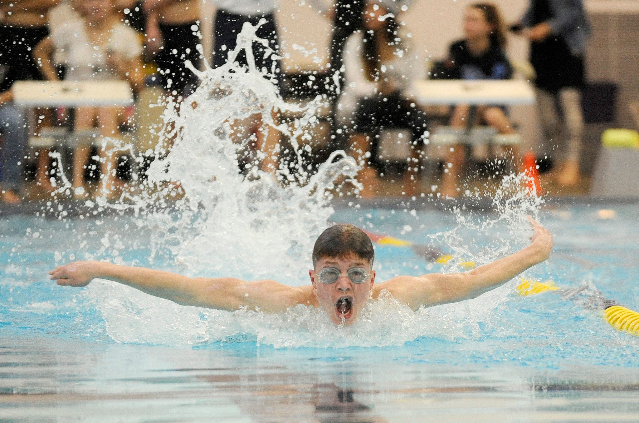 Boys swimming: Eagles splash Wolves in makeup meet