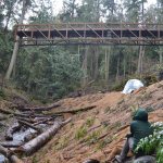 Brenna Mack, a park aide at Sequim Bay State Park, watches the new bridge for the Olympic Discovery Trail go in on Jan. 19. It tentatively opens to the public in March. Sequim Gazette photo by Matthew Nash