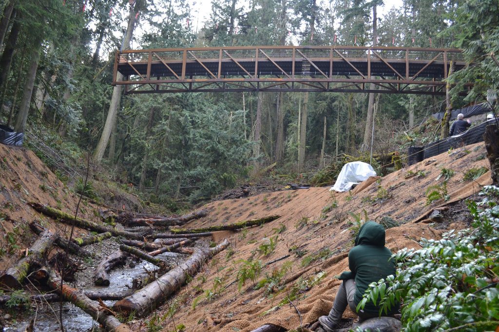 Brenna Mack, a park aide at Sequim Bay State Park, watches the new bridge for the Olympic Discovery Trail go in on Jan. 19. It tentatively opens to the public in March. Sequim Gazette photo by Matthew Nash