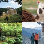 Explore the world: Traveler’s Journal sets sights on 26th series