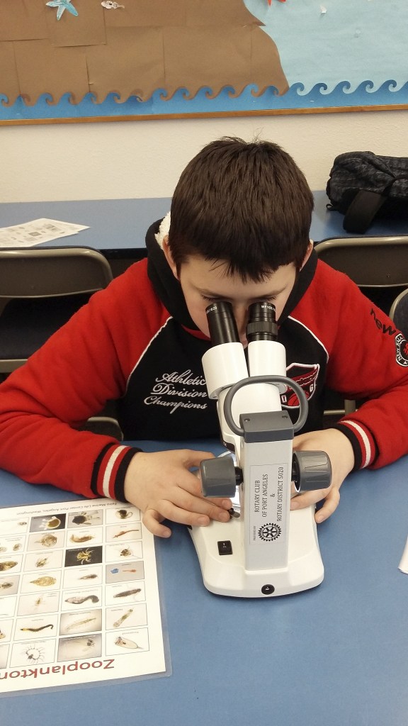 @sequimschools for Feb. 1, 2017