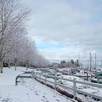 John Wayne Marina gets a blanket of fresh snow. Sequim Gazette photo by Erin Hawkins