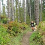 Registration opens for OAT Run 12k, half-marathon