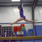 Sequim gyamnsts end season at state meet