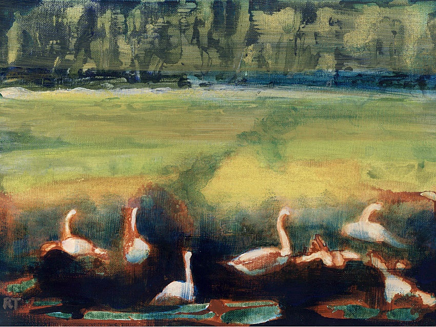 Open house, art show benefits North Olympic Land Trust