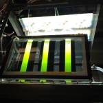These glass cylinder photobioreactors, also called Laboratory Environmental Algae Pond Simulator, LEAPS, replicate weather scenarios around the world and see which algae strains produce the most biofuel in certain conditions. Photos courtesy of Pacific Northwest National Laboratory