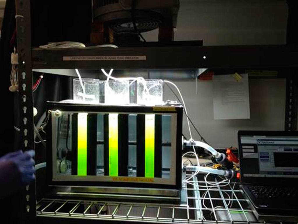 These glass cylinder photobioreactors, also called Laboratory Environmental Algae Pond Simulator, LEAPS, replicate weather scenarios around the world and see which algae strains produce the most biofuel in certain conditions. Photos courtesy of Pacific Northwest National Laboratory