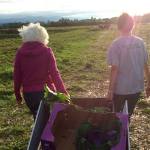 Food finding new paths to those in need