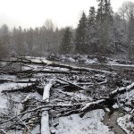 Snow strikes Sequim