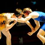 Wrestling: Wolves ready for sub-regional tournaments on path to state