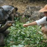 Traveler’s Journal: One world, twice around