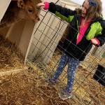@sequimschools — March 29, 2017