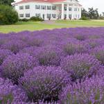 View beautiful B&Bs during PA Symphony toursSeven sites in PA and Sequim selected;reserve tickets in advance of April event