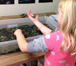 Feiro welcomes children to view tanks