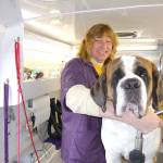 Deena and her human, Wilhelm Beckmann, demonstrate there&rsquo;s plenty of room in the grooming van for plus-size dogs.