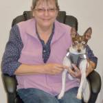 Professional pet sitter Lorre Schneider poses with her charge &ldquo;Icky,&rdquo; a rat terrier &mdash; so named by her young human siblings. Sequim Gazette photo by Patricia Morrison Coate