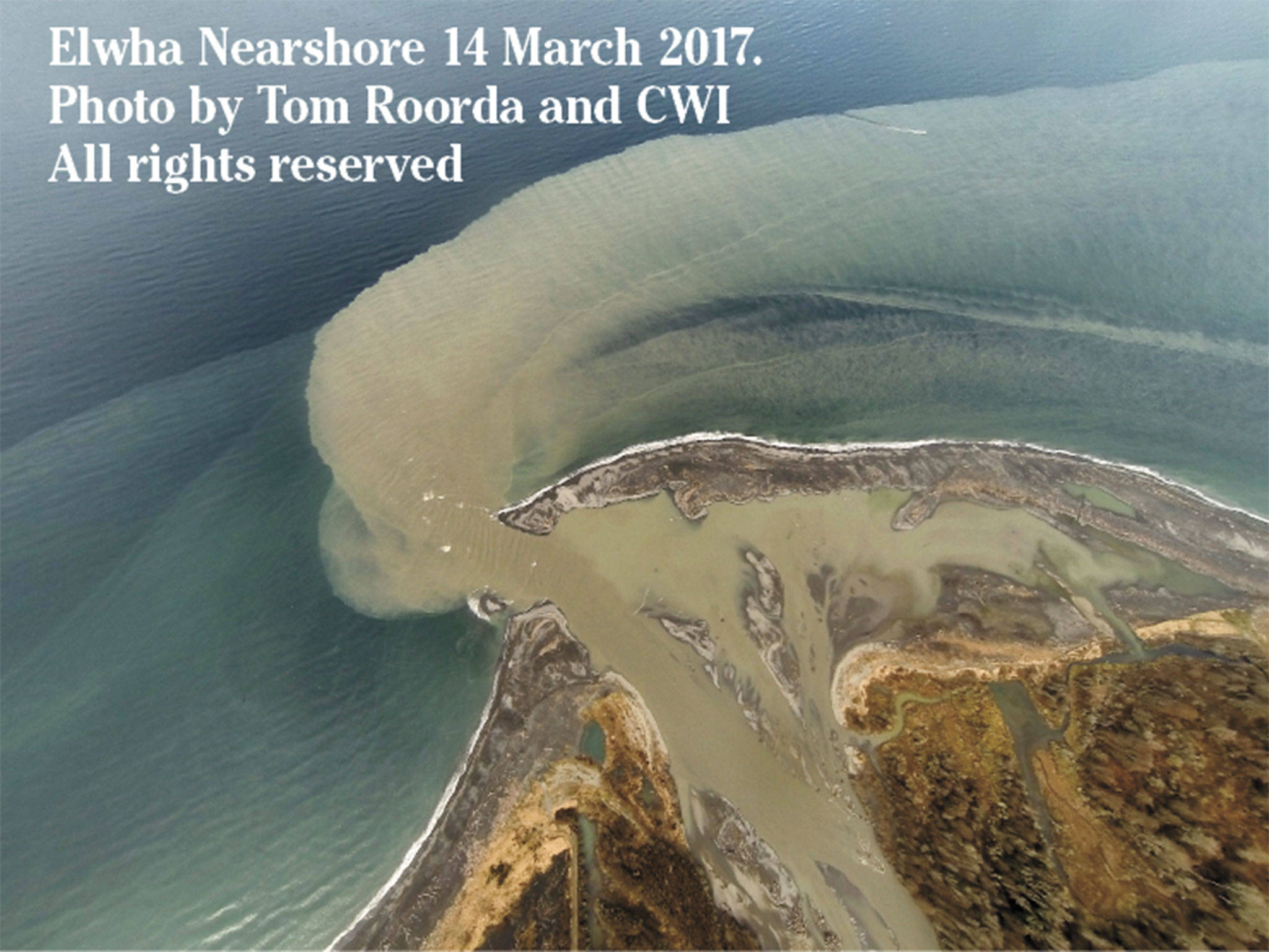 The Elwha’s Evolution