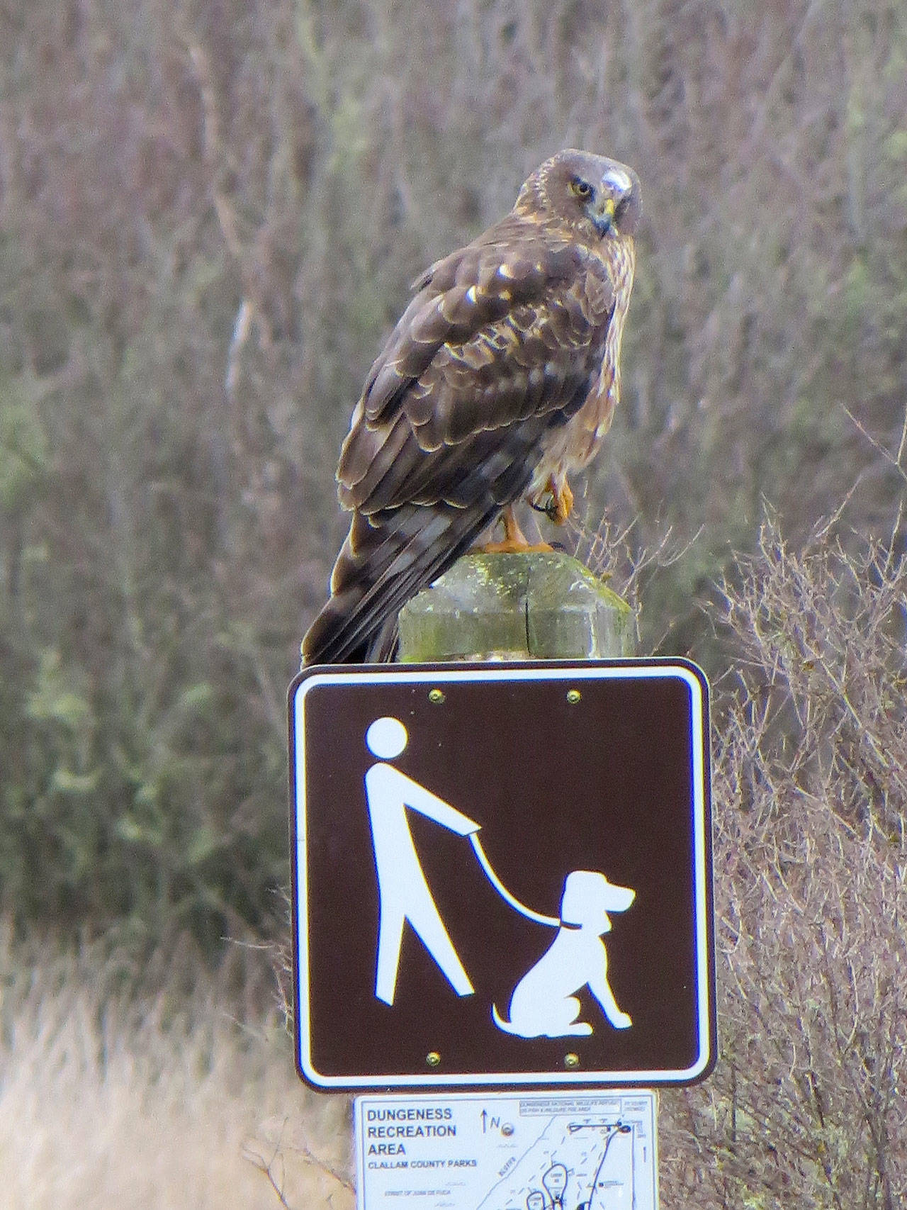 Weather — March 29, 2017