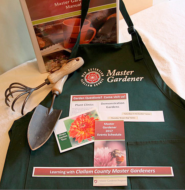 Get It Growing: Who are the Master Gardeners?