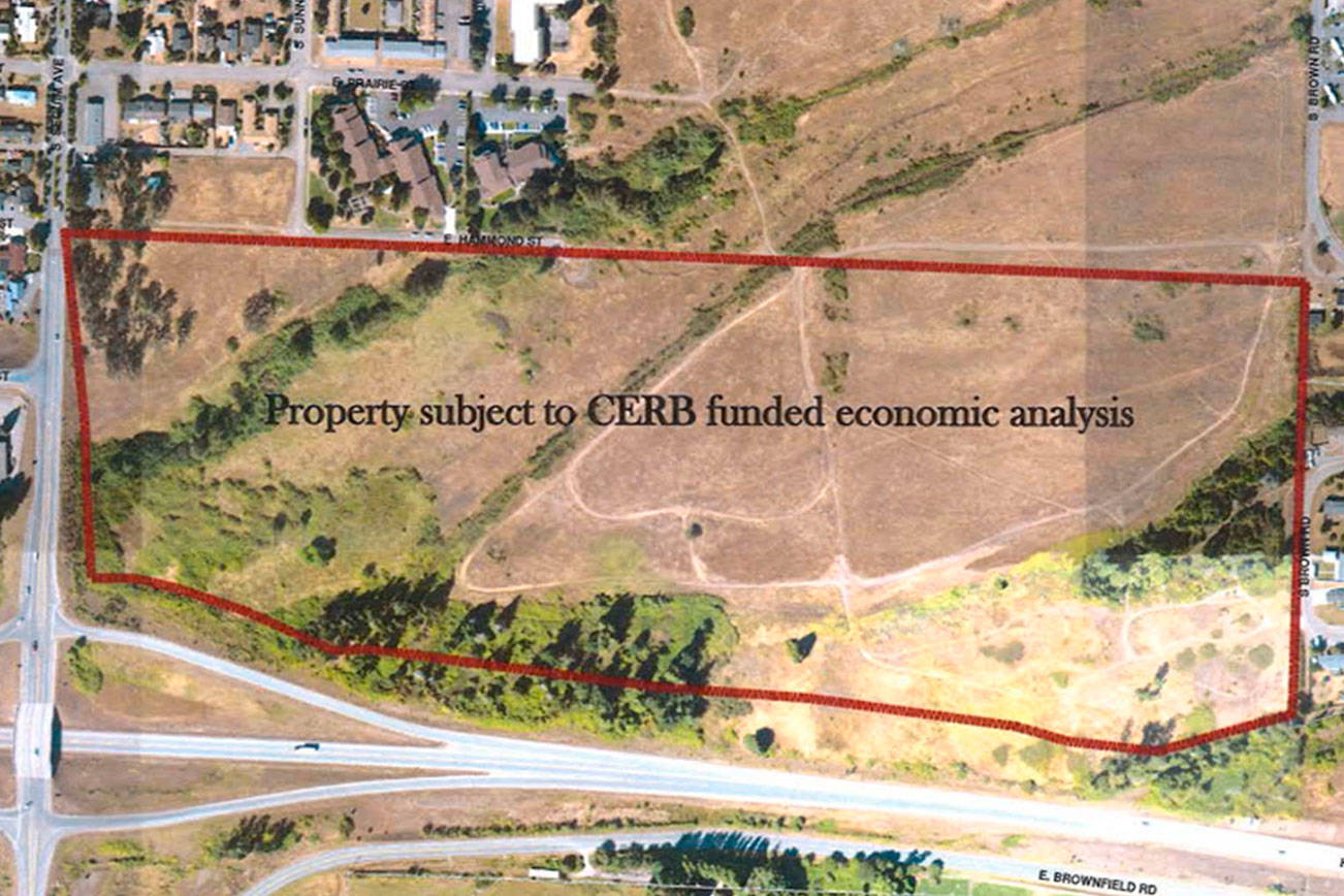 City, developer want plan for development area by Highway 101
