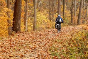 Traveler’s Journal: Cycling through history, from Pittsburgh to Washington, D.C.