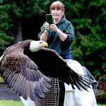 Jaye Moore, executive director of the Northwest Raptor and Wildlife Center, watches as Sparky, a bald eagle that was electrocuted last month, is released into the wild on April 22. Photo by Debbie Schouten