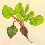 First Friday Art Walk bursts, blushes with pink theme