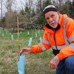 Reforesting for a future