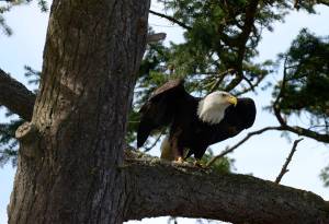 Community News Briefs — April 12, 2017