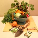 Get It Growing: Small on space, high on yield