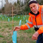 Reforesting for a future