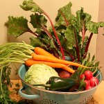 Get It Growing: Small on space, high on yield