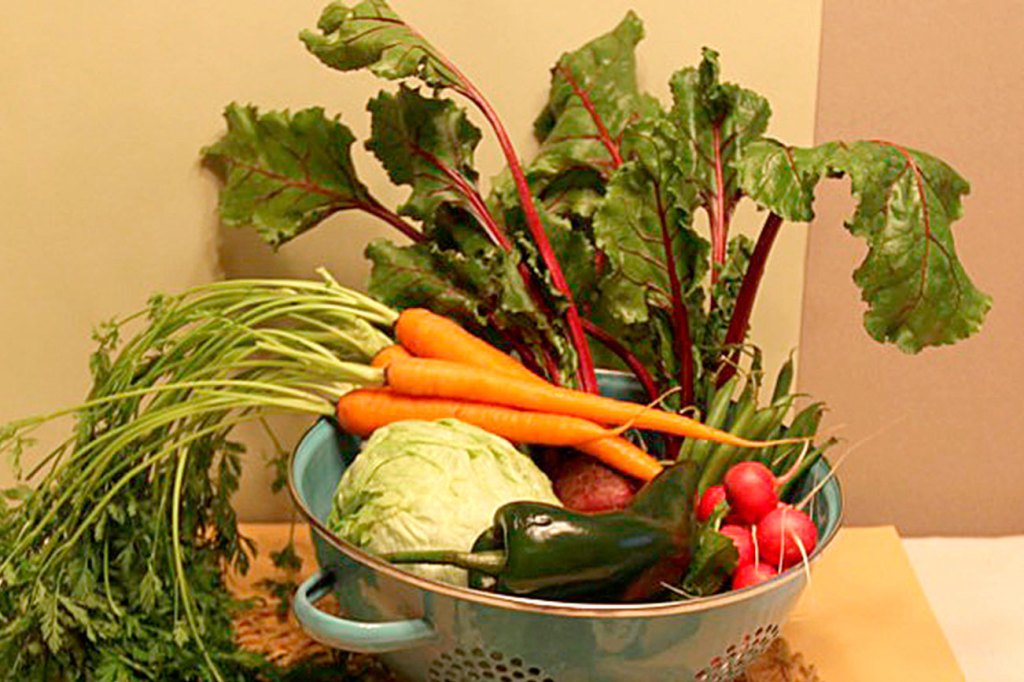 Get It Growing: Small on space, high on yield