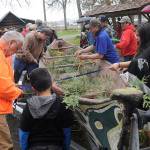 ‘The Viola’ comes home: A feature of Sequim park for decades, native canoe returns to its family on West End