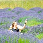 Sequim, Port Townsend in Top 10 of online contest for best Northwestern small town
