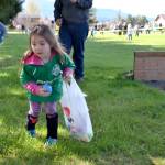 Alivia Cummings, 4, hunts down eggs outside the Sequim Elks Lodge on April 15. It was her first egg hunt ever. Sequim Gazette photos by Matthew Nash