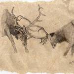 First Friday Art Walk bursts, blushes with pink theme