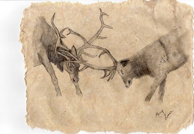 First Friday Art Walk bursts, blushes with pink theme